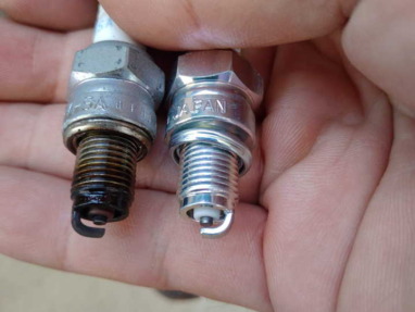 Thumbnail of post image 029